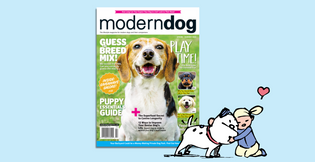  Unchained: Guard Dog Featured in 'Modern Dog Magazine'