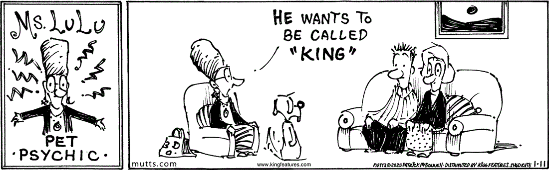  January 11 2025, Daily Comic Strip: In this MUTTS strip, Ms. Lulu the pet psychic tells two pet parents, "He wants to be called 'King.'"