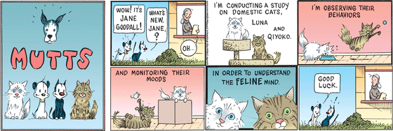 February 23 2025, Sunday Comic Strip: In this colorful MUTTS strip, Mooch and Earl spy Jane Goodall and ask, "What's new, Jane?" She replies, "Oh, I'm conducting a study on domestic cats, Luna and Qiyoko. I'm observing their behaviors and monitoring their moods in order to understand the feline mind." Earl tells her, "Good luck."