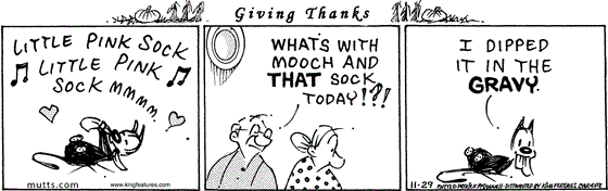 November 29 2024, Daily Comic Strip: In this thankful MUTTS strip, Mooch is extra loving toward his beloved Little Pink Sock. Frank notices and asks Millie, "What's with Mooch and that sock today!?!" Mooch says, "I dipped it in the gravy."