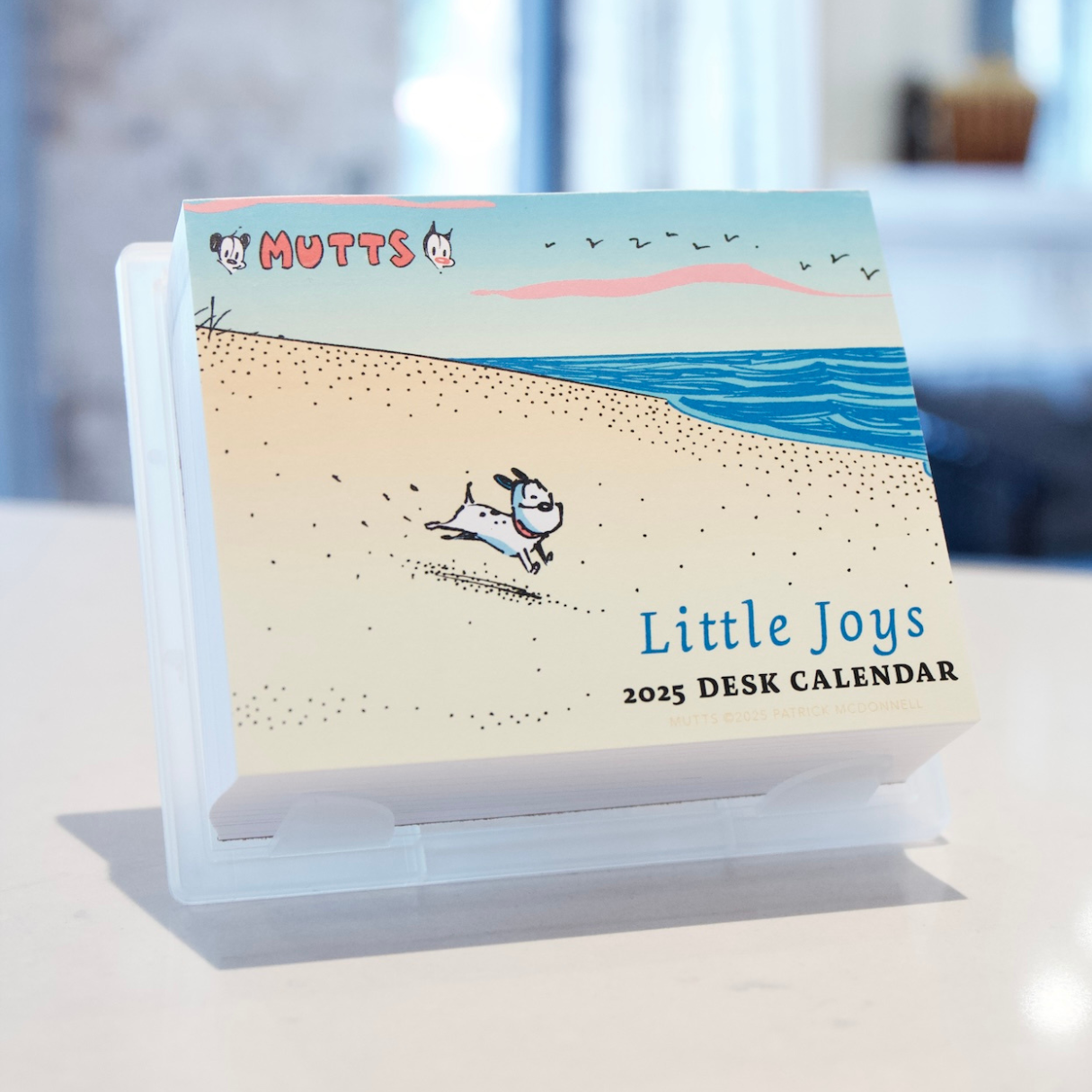 2025 Desk Calendar: Little Joys