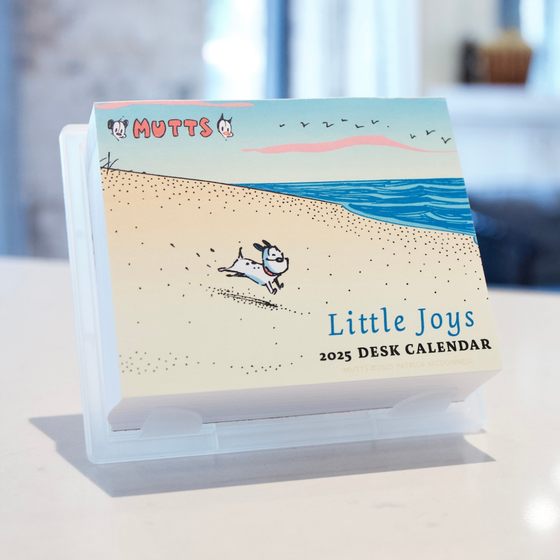 2025 Desk Calendar: Little Joys