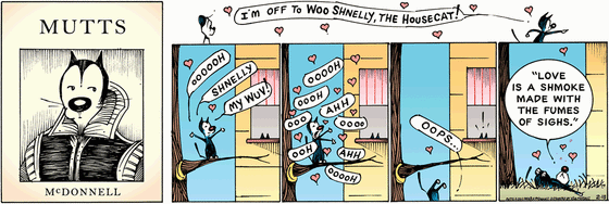 February 15 2015, Sunday Comic Strip