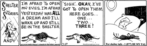 April 29 2005, Daily Comic Strip