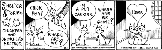 May 1 2004, Daily Comic Strip