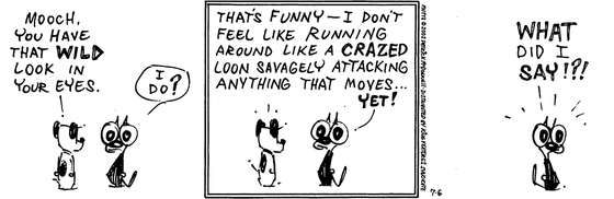 July 6 2002, Daily Comic Strip