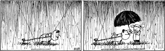 August 28 2004, Daily Comic Strip