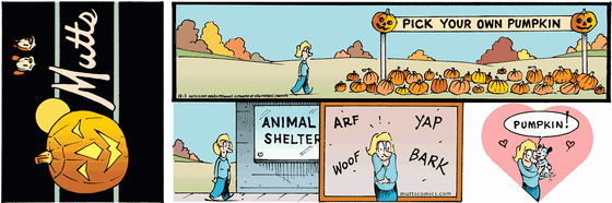 November 1 2009, Sunday Comic Strip