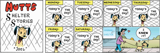 November 2 2014, Sunday Comic Strip