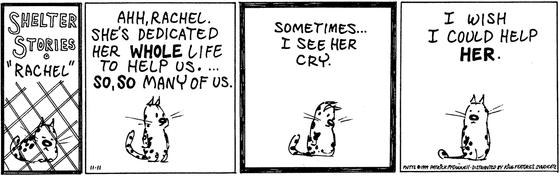 November 11 1999, Daily Comic Strip