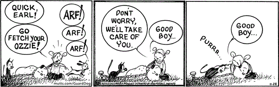 In this MUTTS comic strip, Doozy rushes to Guard Dog's side. ushering Earl to fetch his Ozzie to help them save Guard Dog. "Good Boy' Doozy says as she holds Guard Dog and waits.