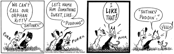 December 5 1996, Daily Comic Strip