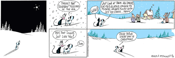 December 25 1994, Sunday Comic Strip