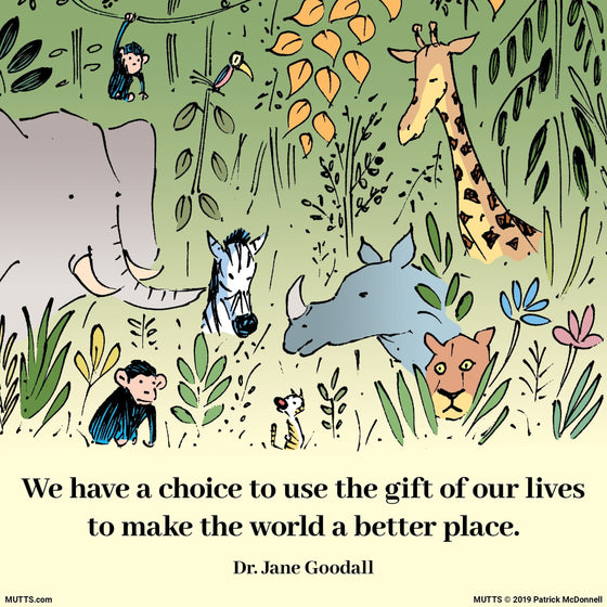 'The Gift of Our Lives' Jane Goodall Quote Print