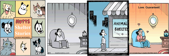 May 4 2008, Sunday Comic Strip